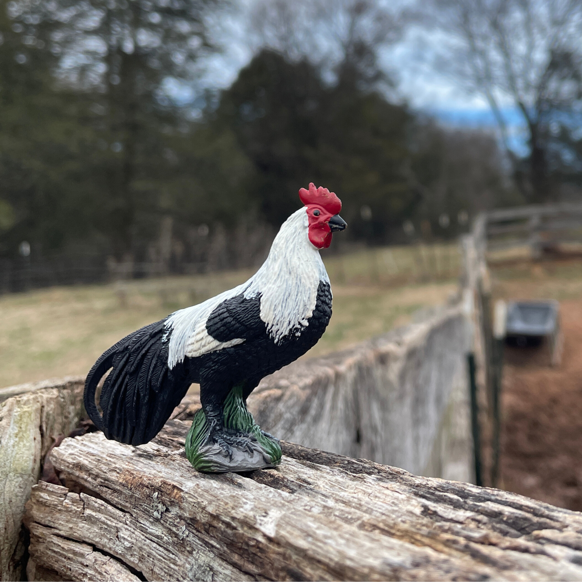 Phoenix Rooster | Farm | Safari Ltd®