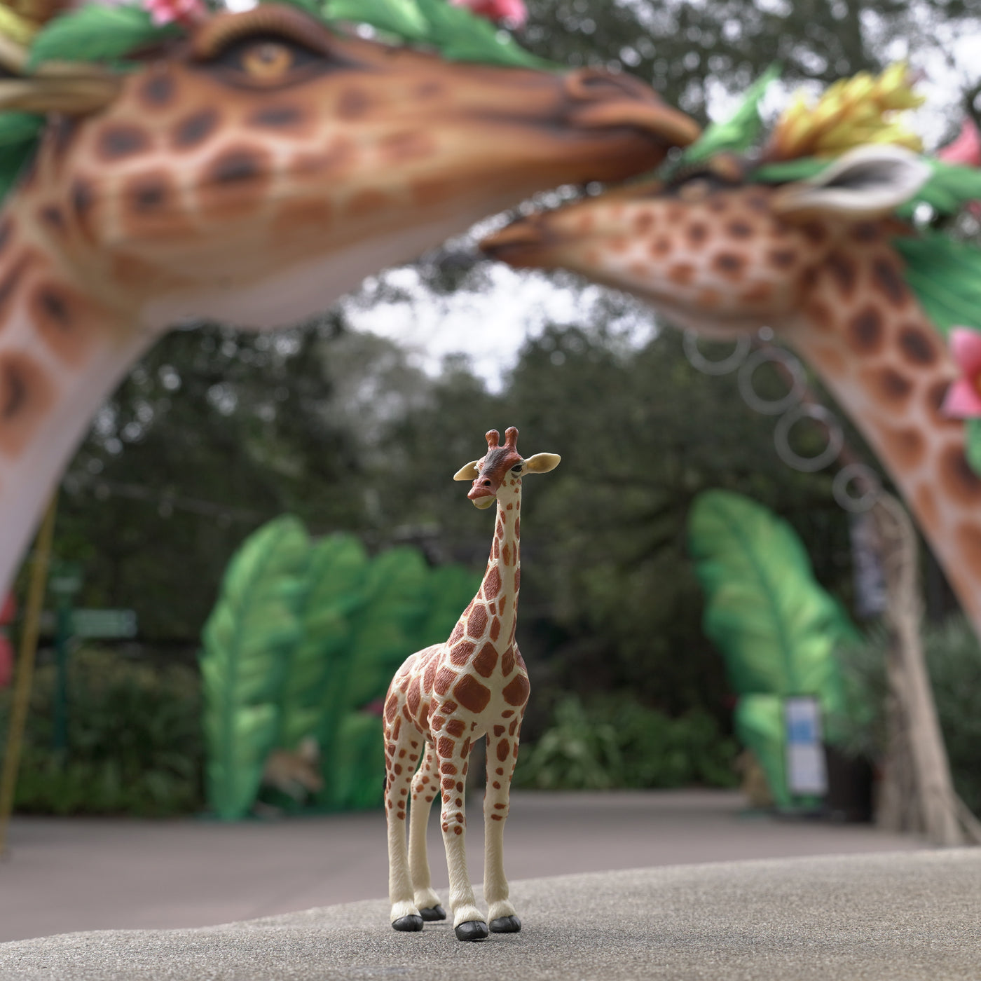 Reticulated Giraffe Toy | Wildlife Animal Toys | Safari Ltd®