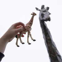 Reticulated Giraffe Toy | Wildlife Animal Toys | Safari Ltd®