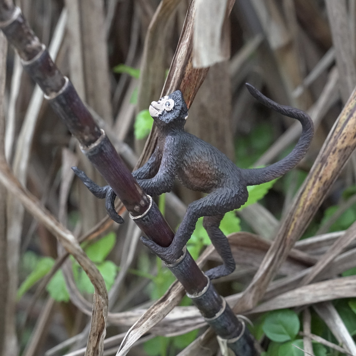 Spider Monkey Toy | Wildlife Animal Toys | Safari Ltd®