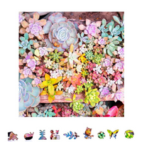 ZenChalet - Garden Succulents - 500 PC Puzzle |  | Safari Ltd®