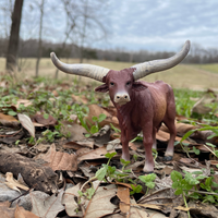 Watusi Bull Toy | Farm | Safari Ltd®