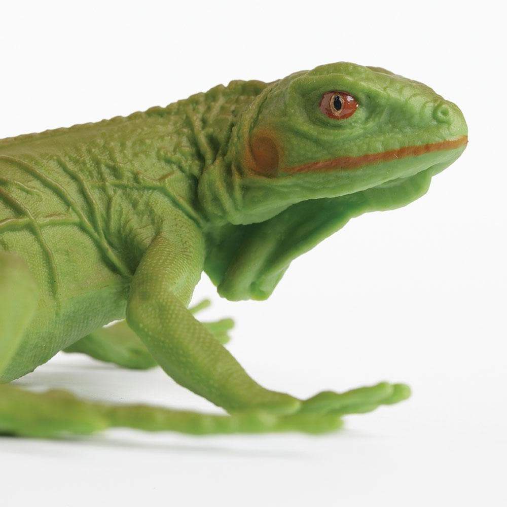 Iguana Baby Toy | Incredible Creatures | Safari Ltd®