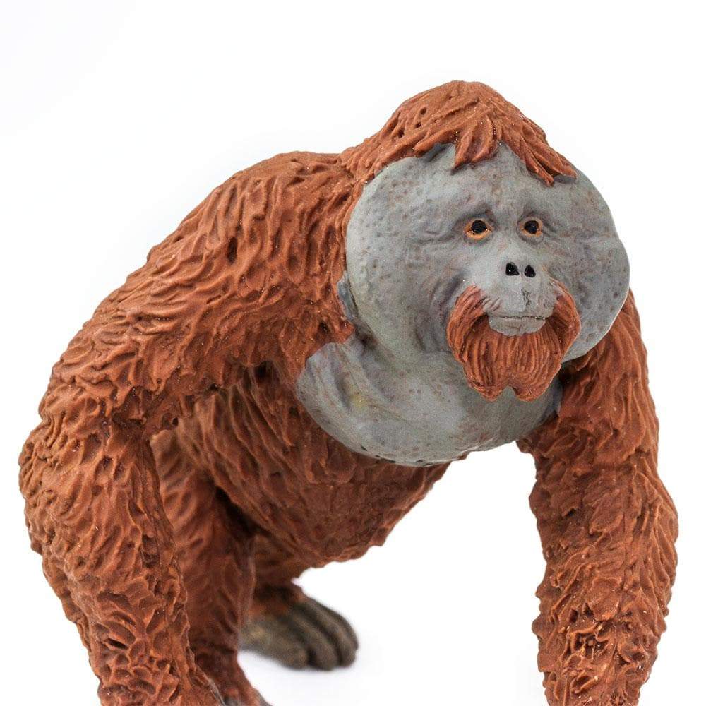 Male Orangutan Toy | Wildlife Animal Toys | Safari Ltd®