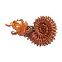 Ammonite Toy | Dinosaur Toys | Safari Ltd®