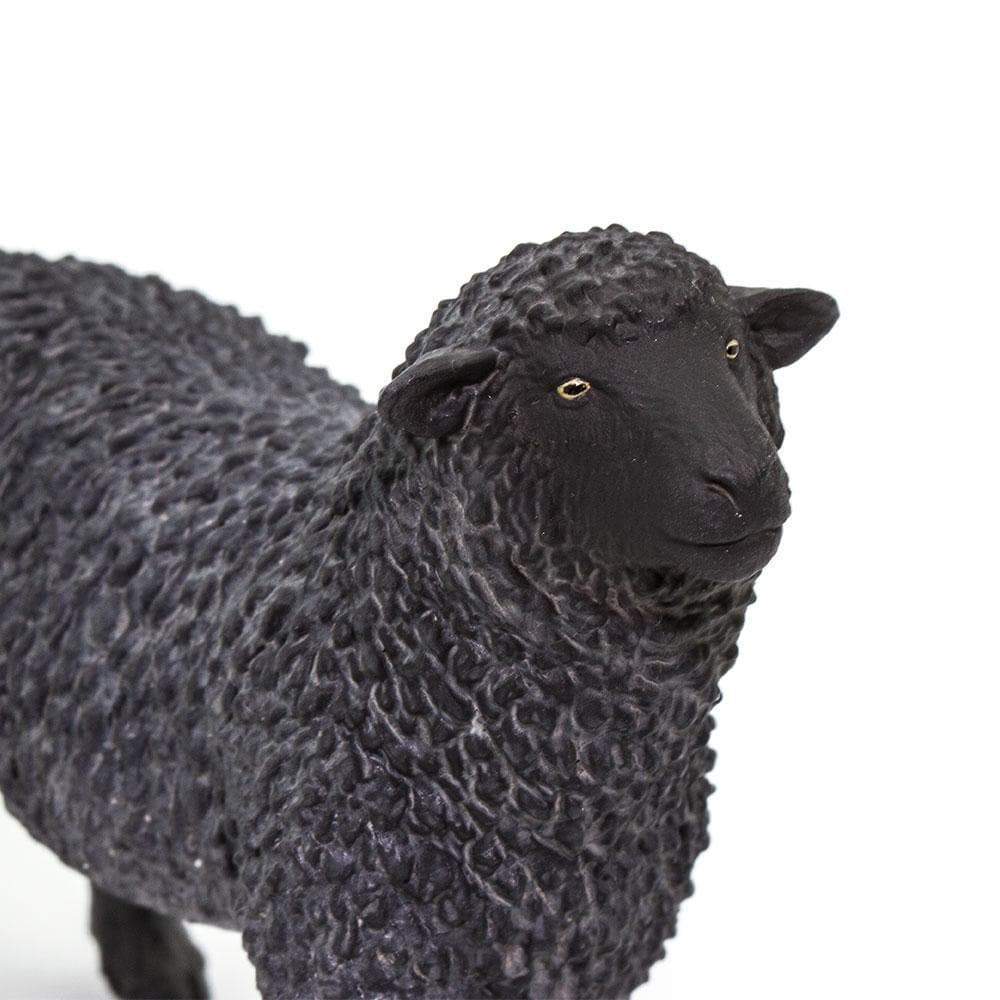 Black Sheep Toy