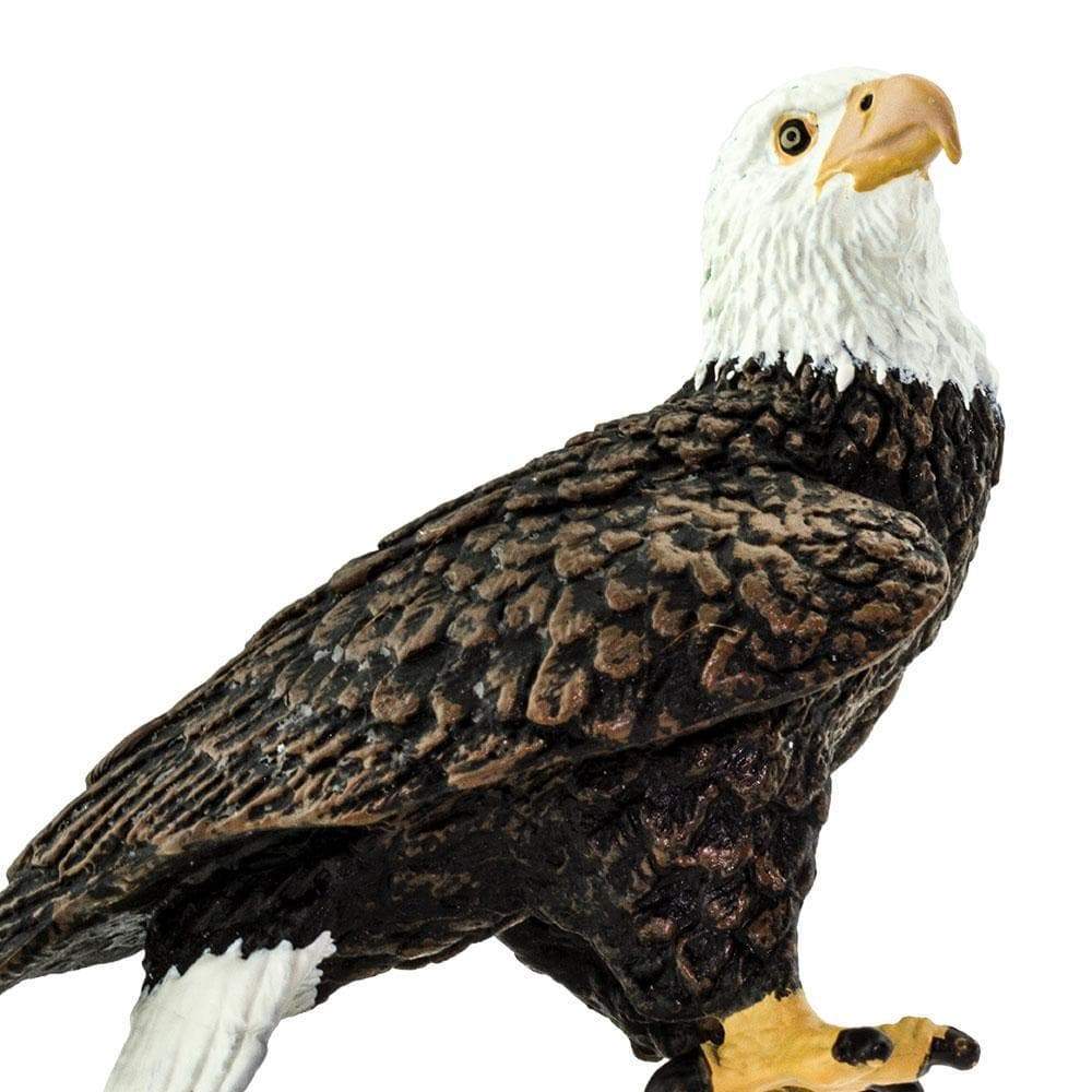 Bald Eagle Toy | Wildlife Animal Toys | Safari Ltd®