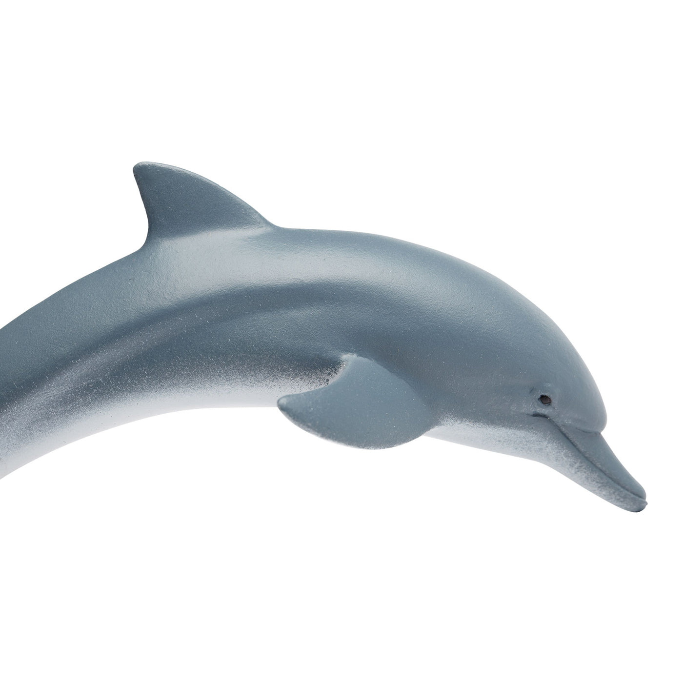 Dolphin Toy