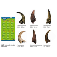 GEOWorld Dino Claws Replica Collection - 6 pieces |  | Safari Ltd®