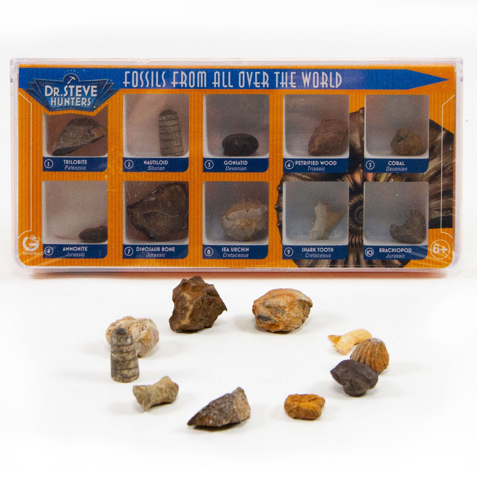 Dr. Steve Hunters Fossils from All Over the World  - 10 Fossils Science & Education Toy Set |  | Safari Ltd®