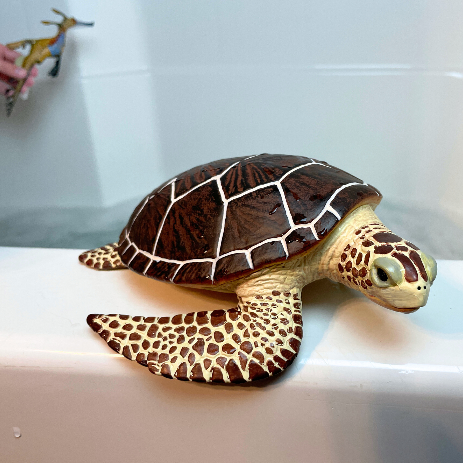 Sea Turtle Toy | Incredible Creatures | Safari Ltd®