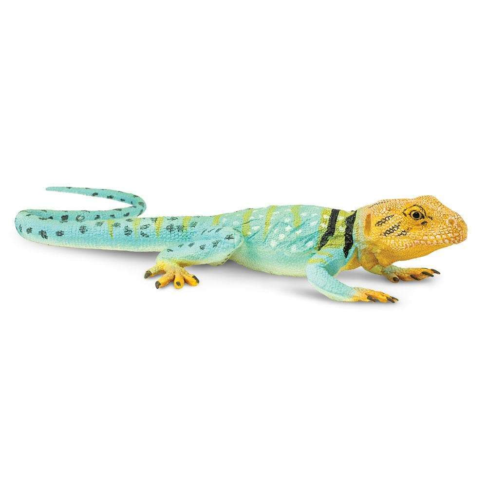 Collared Lizard Toy