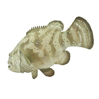 Goliath Grouper Toy | Incredible Creatures | Safari Ltd®