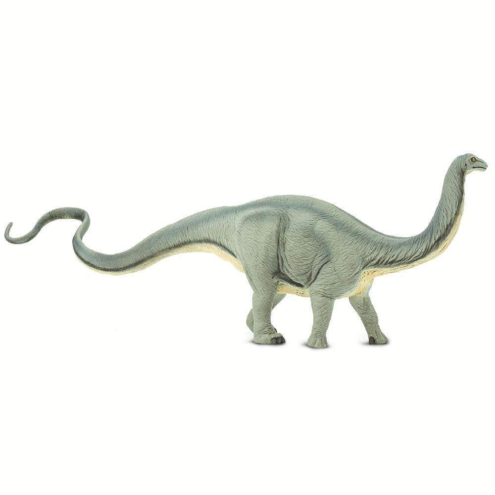 Apatosaurus Toy | Dinosaur Toys | Safari Ltd®