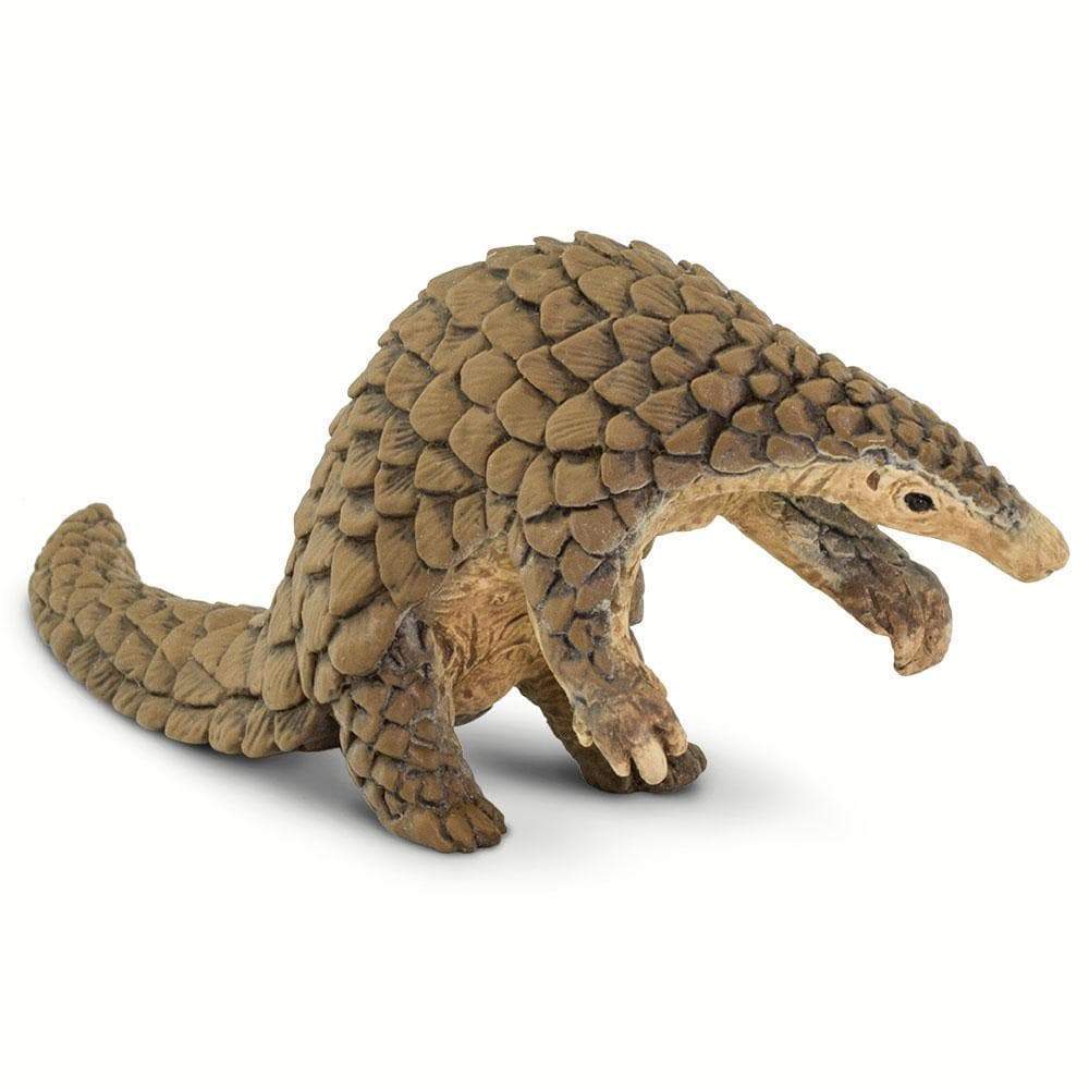 Pangolin Toy | Incredible Creatures | Safari Ltd®