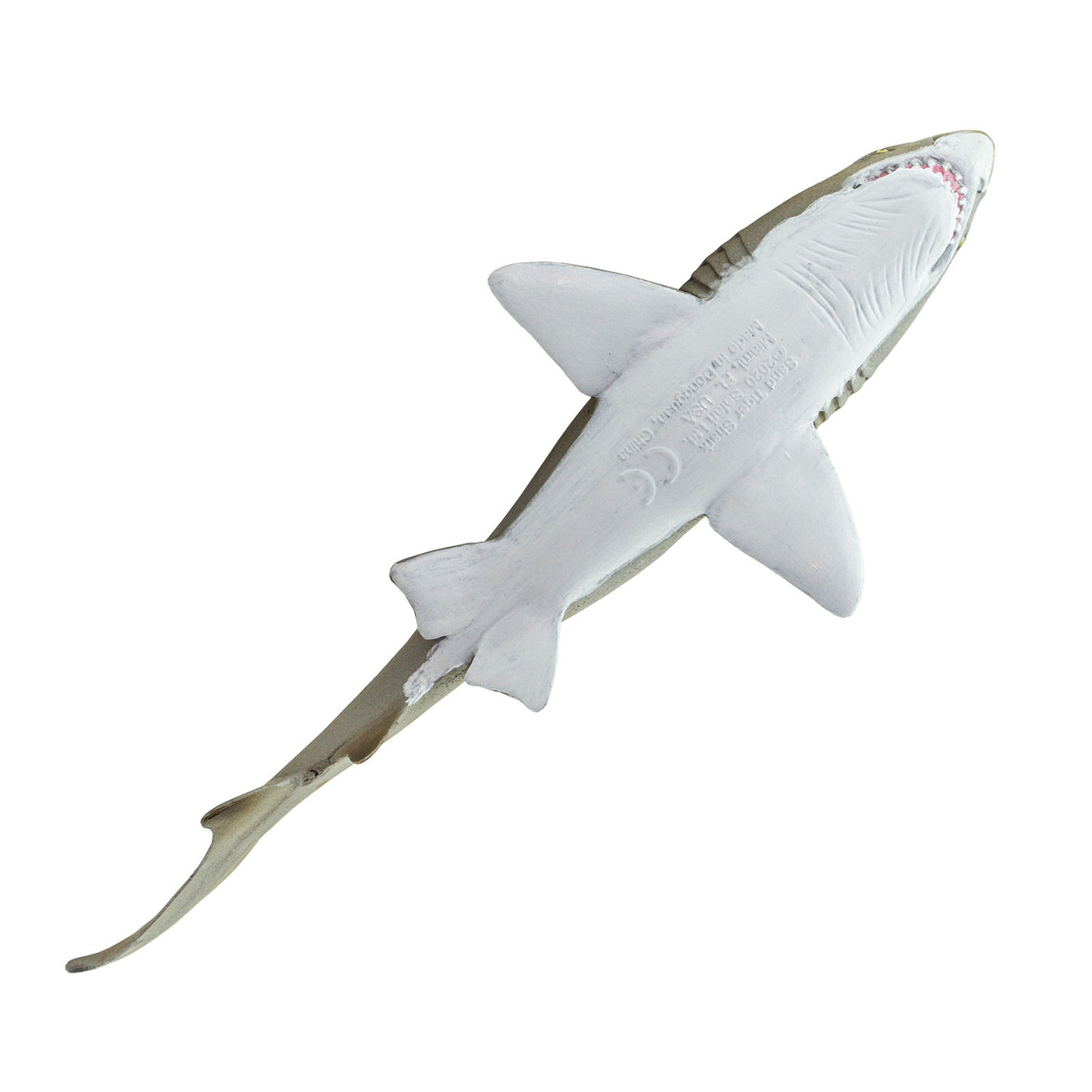 Sand Tiger Shark Toy | Sea Life | Safari Ltd®