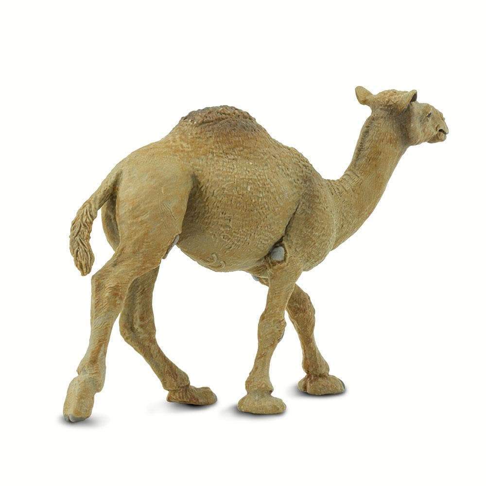 Dromedary Camel Toy