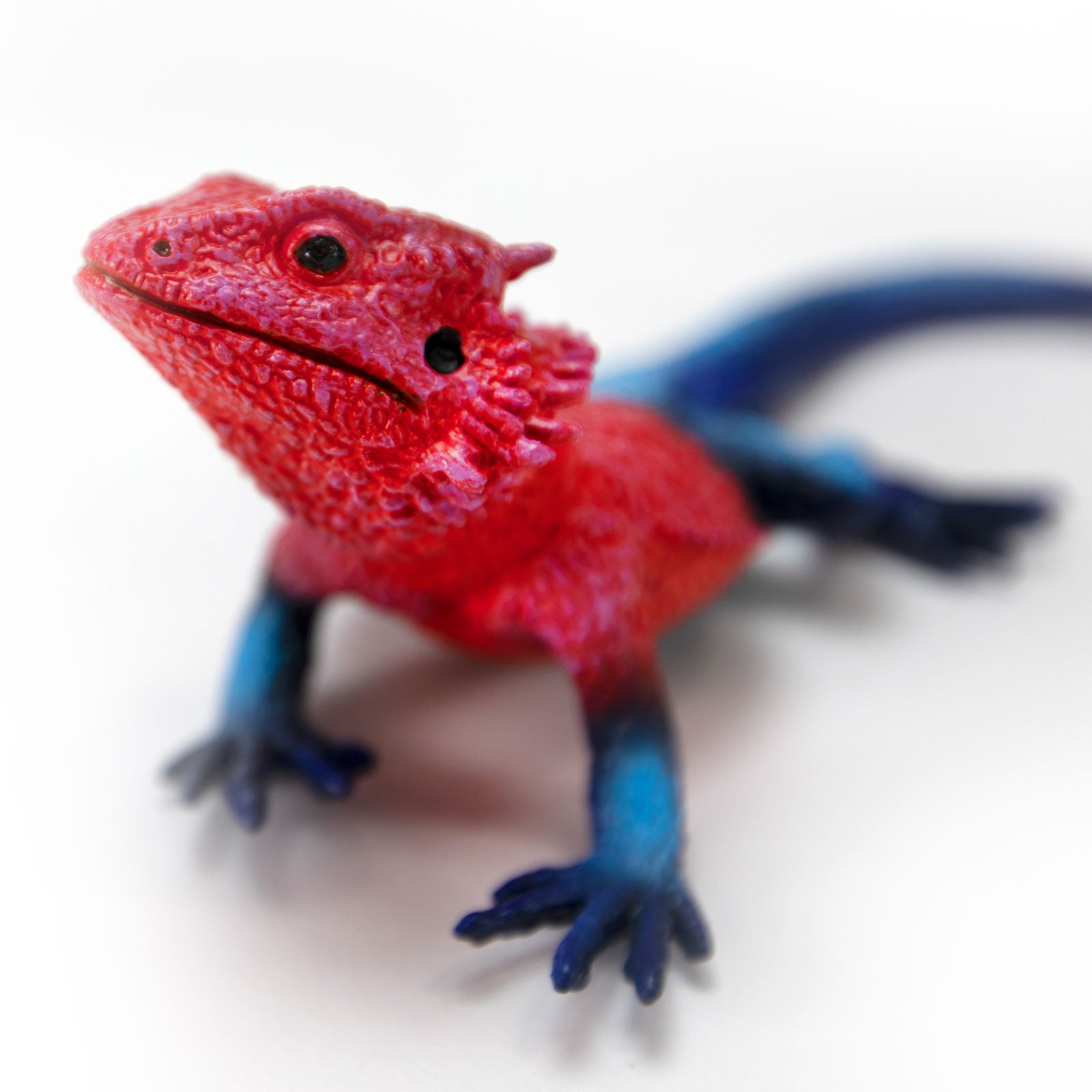 Mwanza Flat-Headed Rock Agama Toy Figure |  | Safari Ltd®