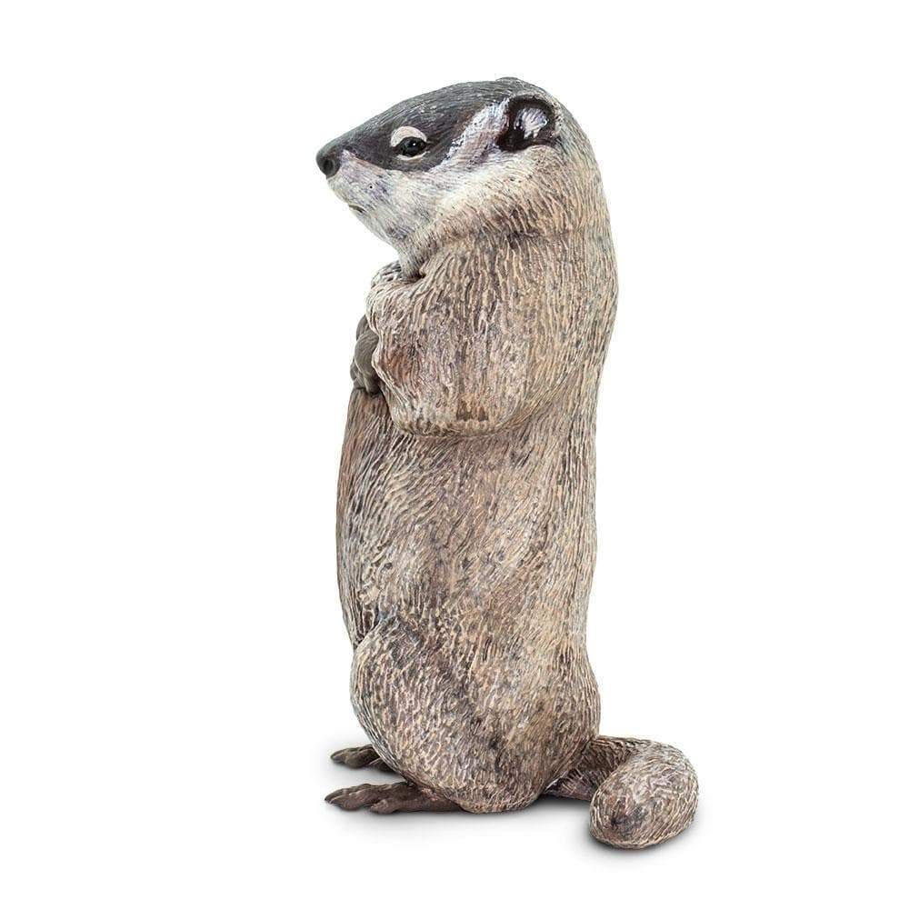 Groundhog Toy | Incredible Creatures | Safari Ltd®