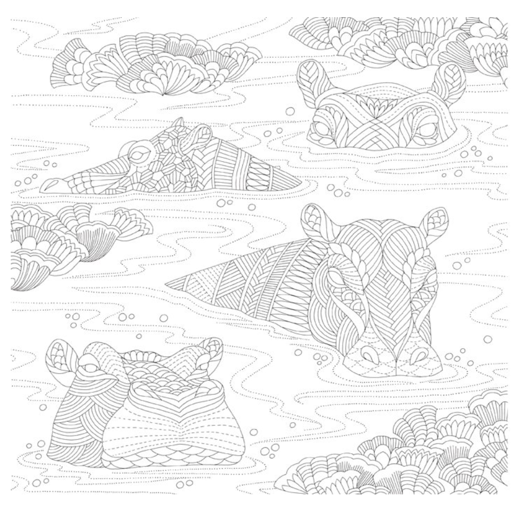 Animal Kingdom Coloring Book | Union Square & Co. | Safari Ltd®