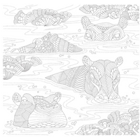 Animal Kingdom Coloring Book | Union Square & Co. | Safari Ltd®