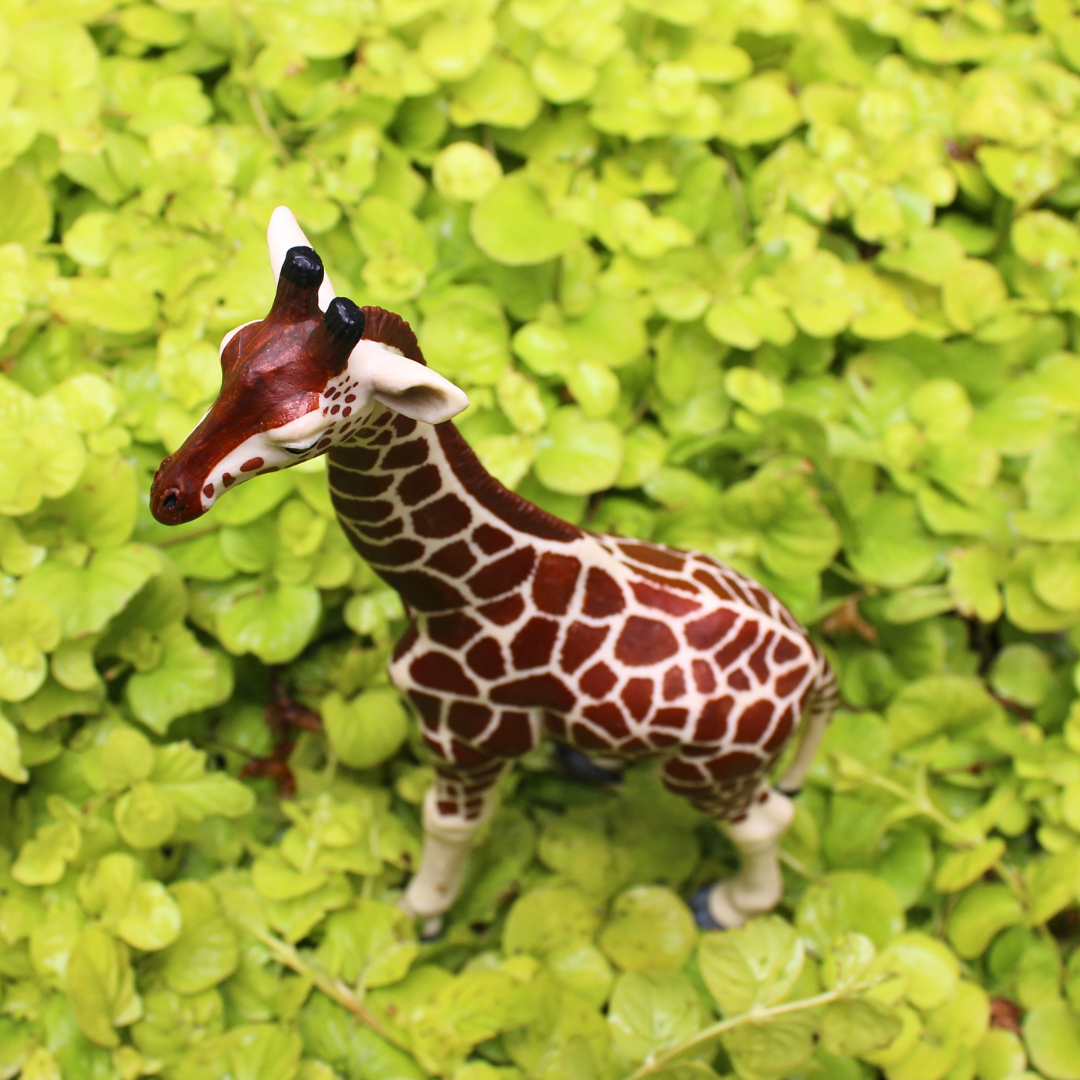 Giraffe Toy | Wildlife Animal Toys | Safari Ltd®