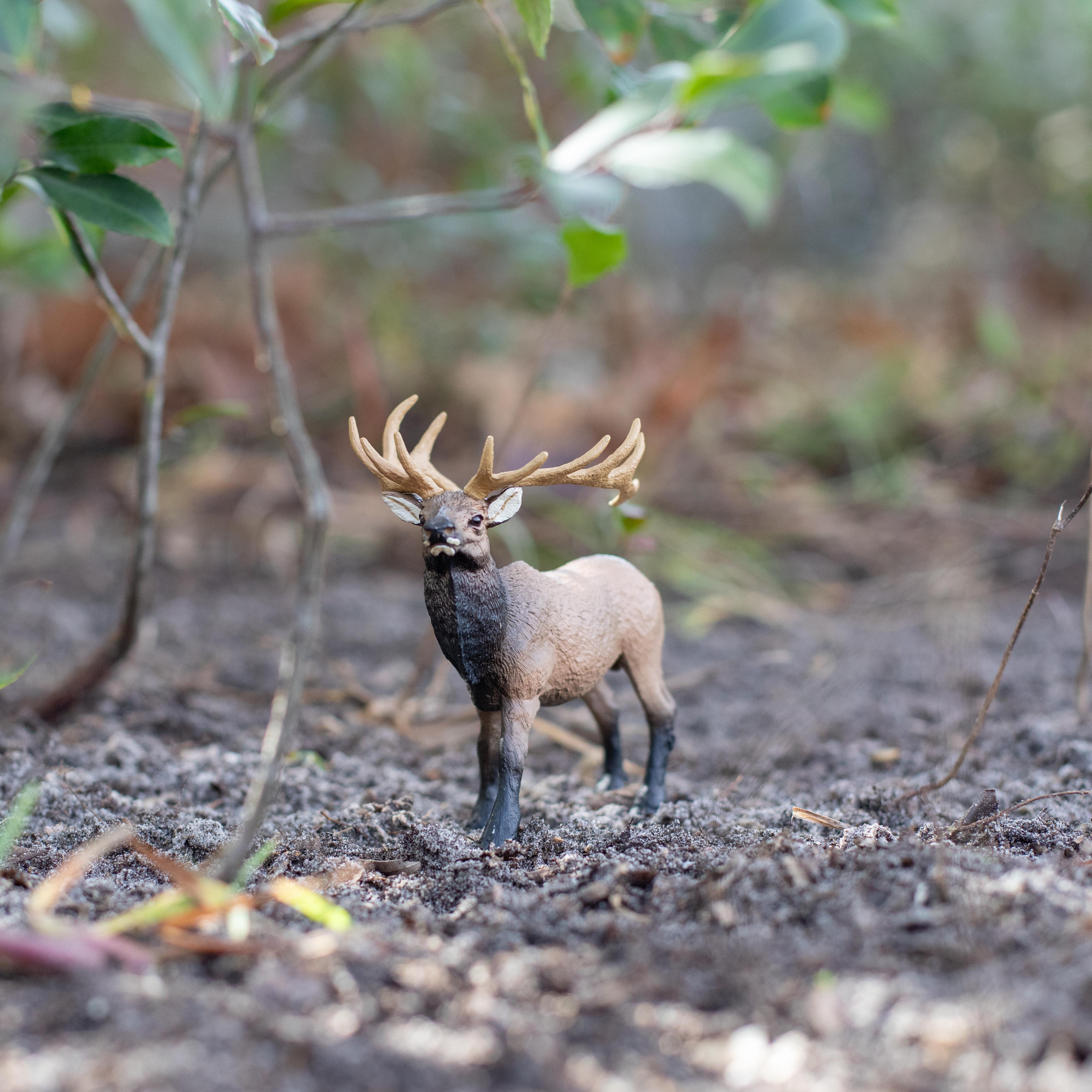 Elk Bull Toy | Wildlife Animal Toys | Safari Ltd®