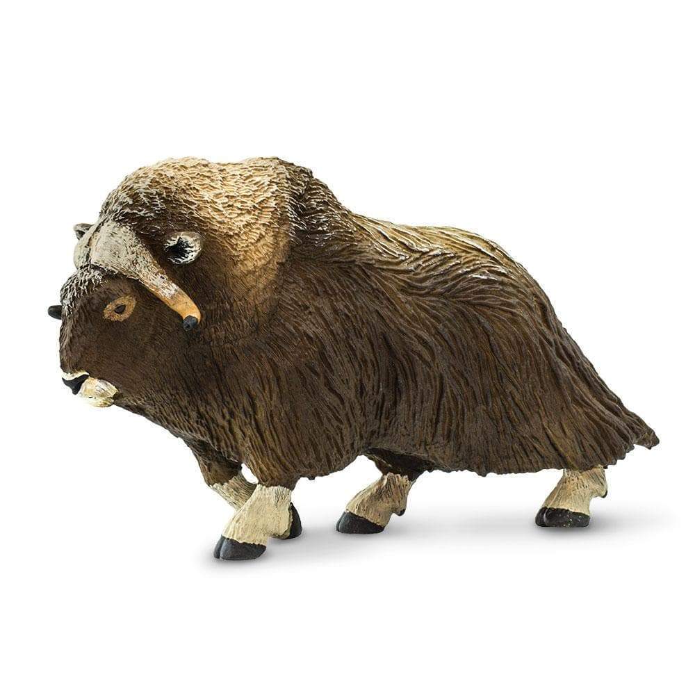 Muskox Toy | Wildlife Animal Toys | Safari Ltd.