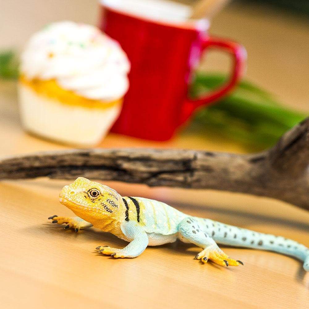 Collared Lizard - Safari Ltd®