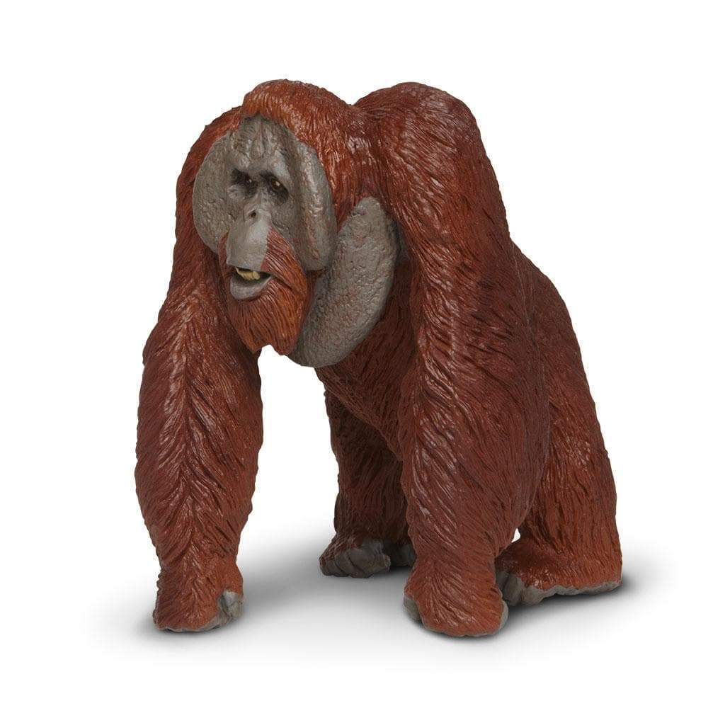 Bornean Orangutan Toy