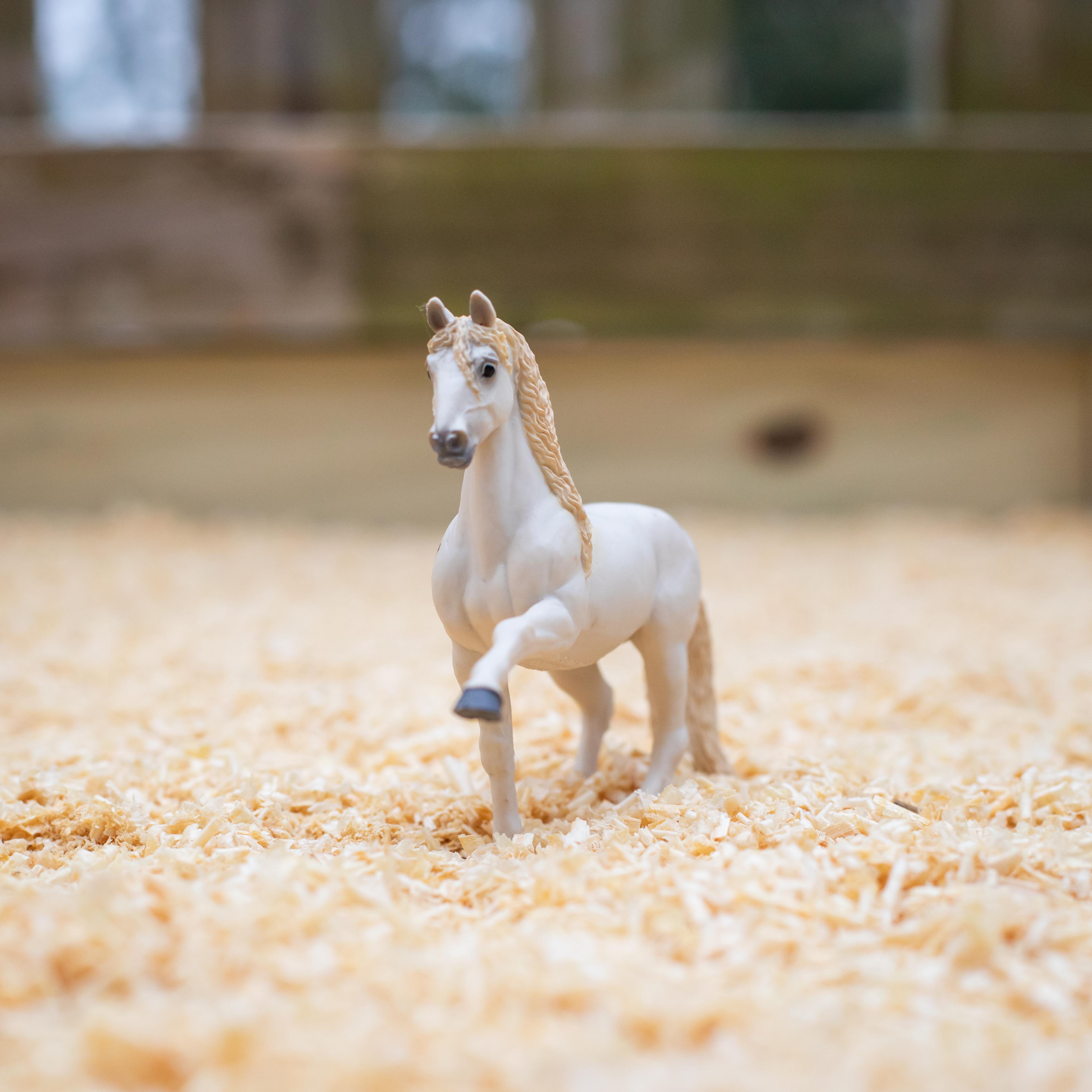 Andalusian Stallion Toy | Farm | Safari Ltd®