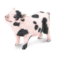 Pot-Bellied Pig - Safari Ltd®