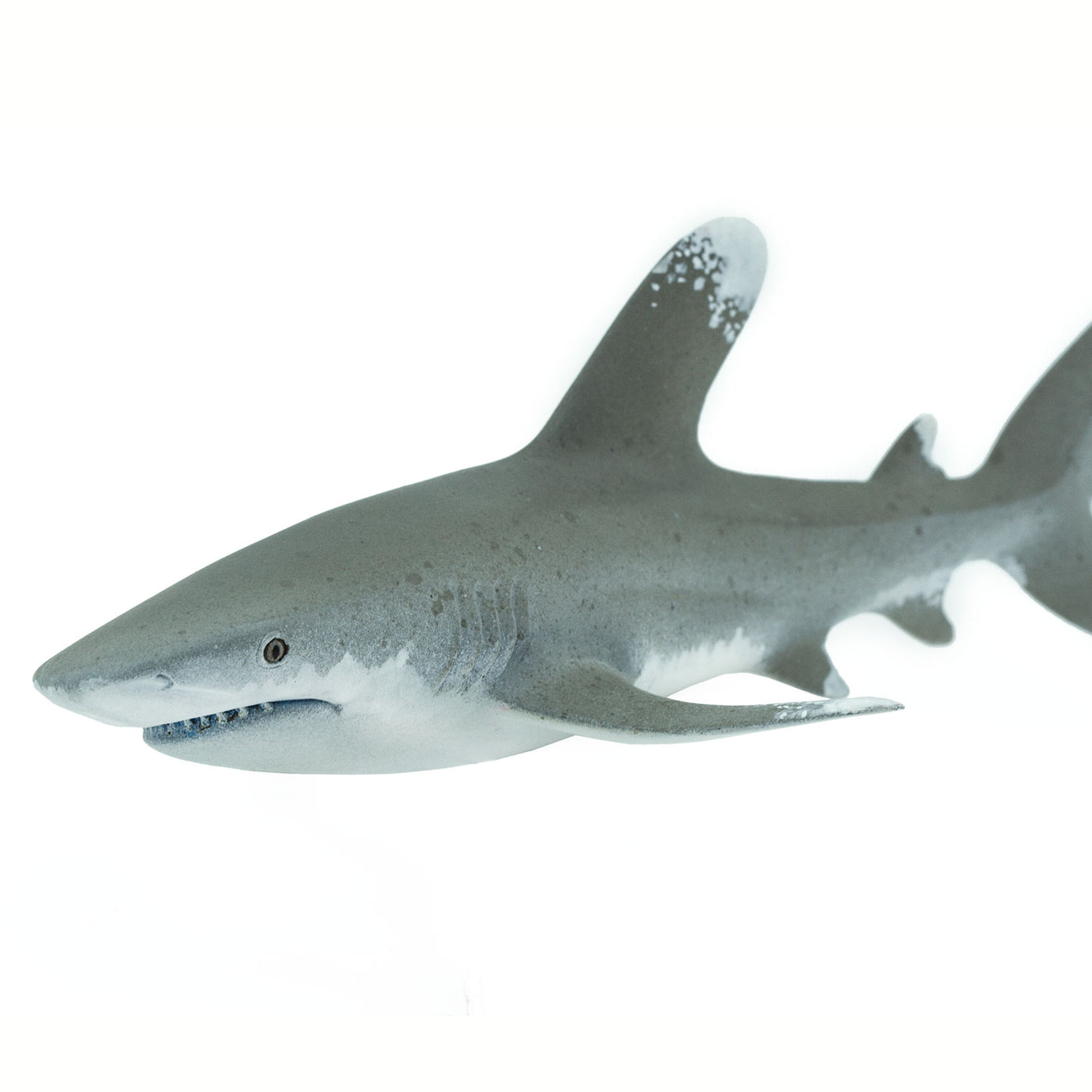 Oceanic Whitetip Shark Toy