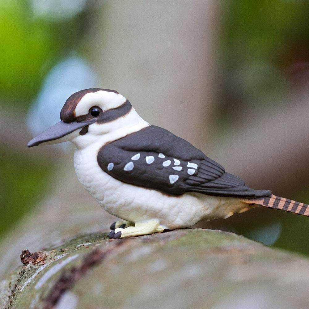 Kookaburra Toy