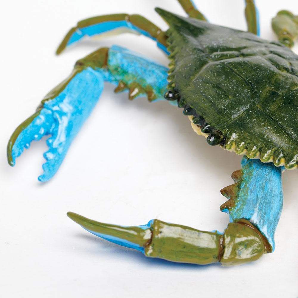 Blue Crab Toy | Incredible Creatures | Safari Ltd®