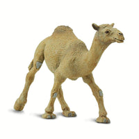 Dromedary Camel Toy