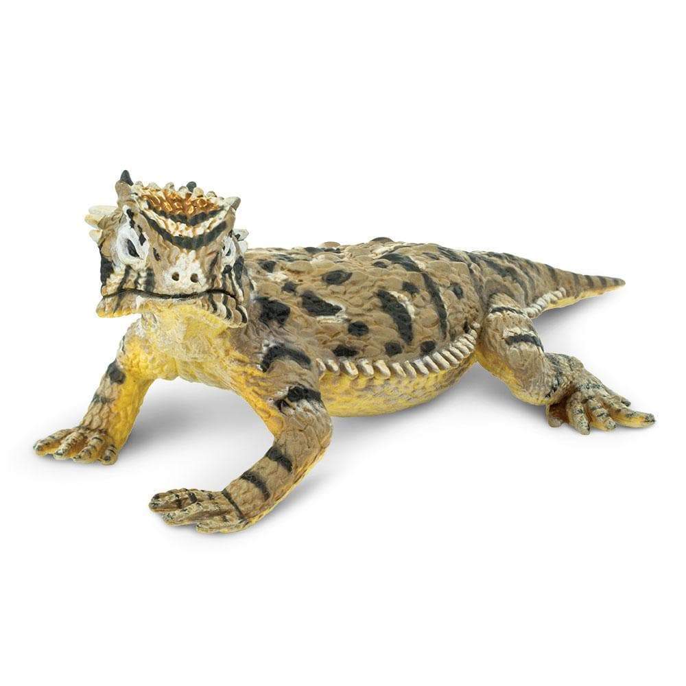 Horned Lizard Toy | Incredible Creatures | Safari Ltd®