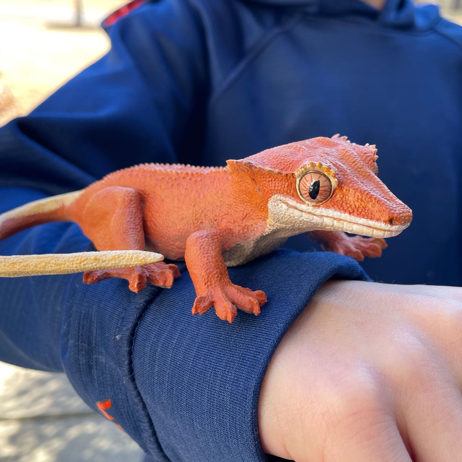 Crested Gecko Toy Figure