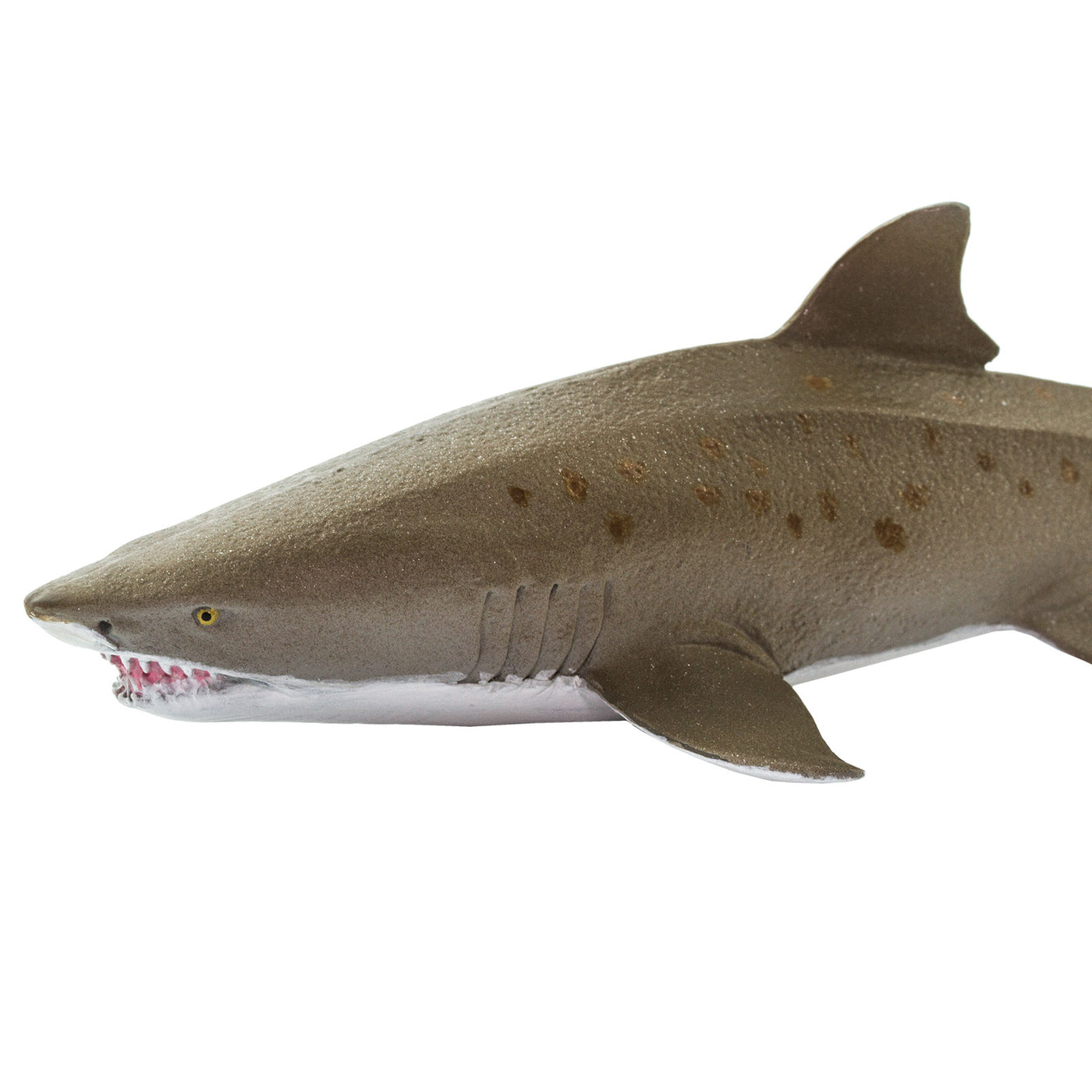 Sand Tiger Shark Toy | Sea Life | Safari Ltd®