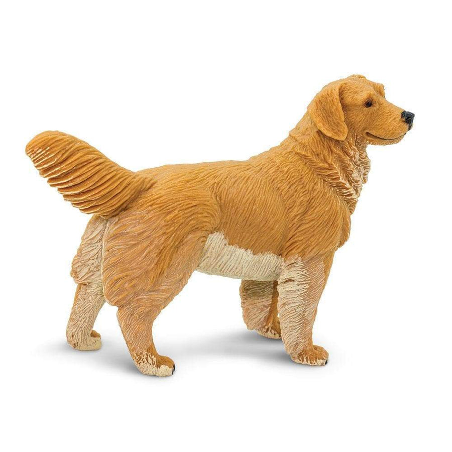 Golden Retriever - Safari Ltd®