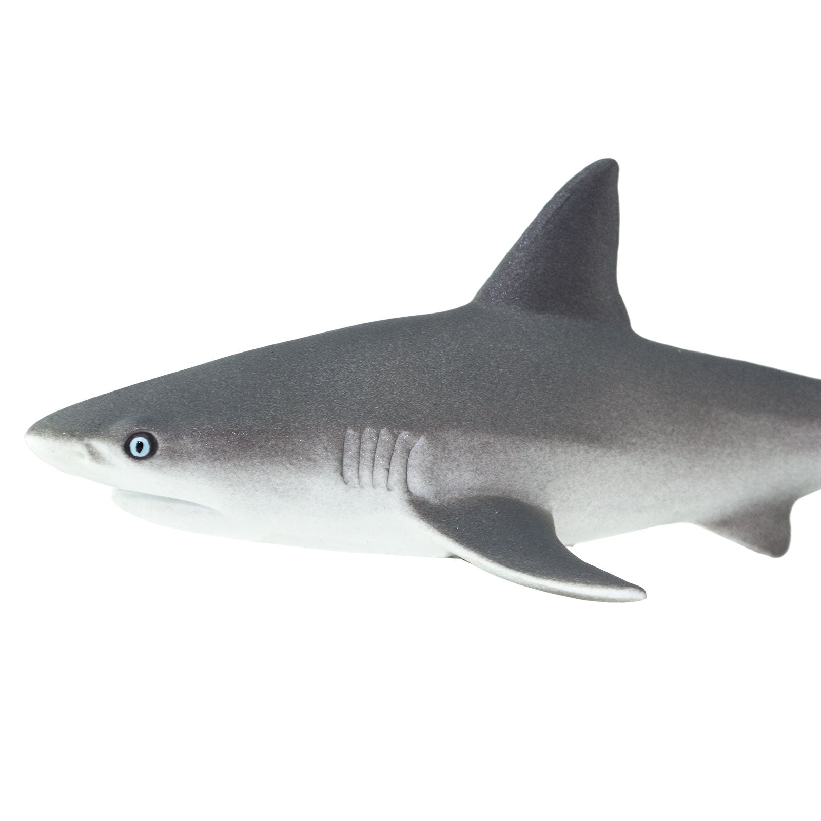 Gray Reef Shark Toy