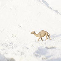 Dromedary Camel Toy