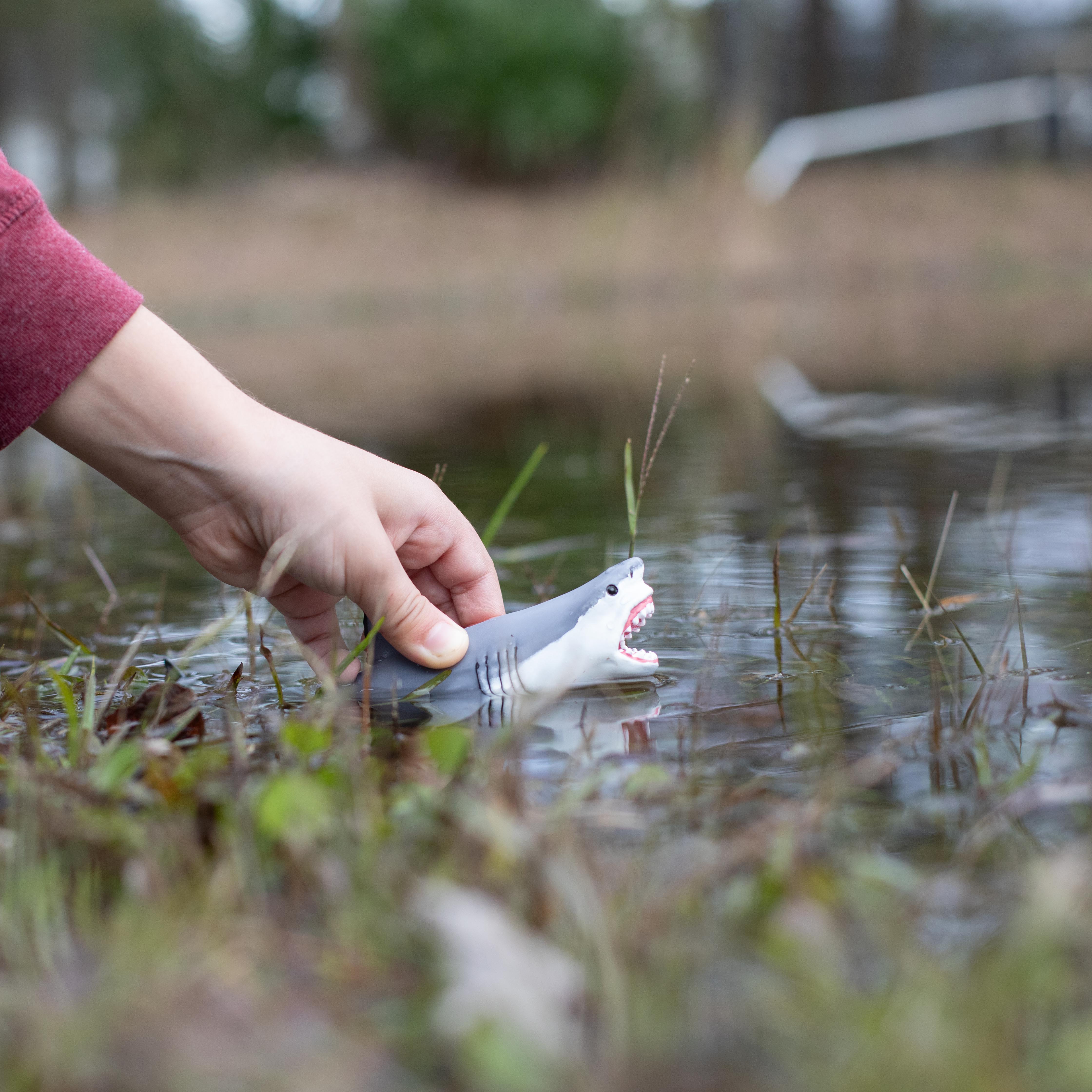 Megalodon Toy | Dinosaur Toys | Safari Ltd®