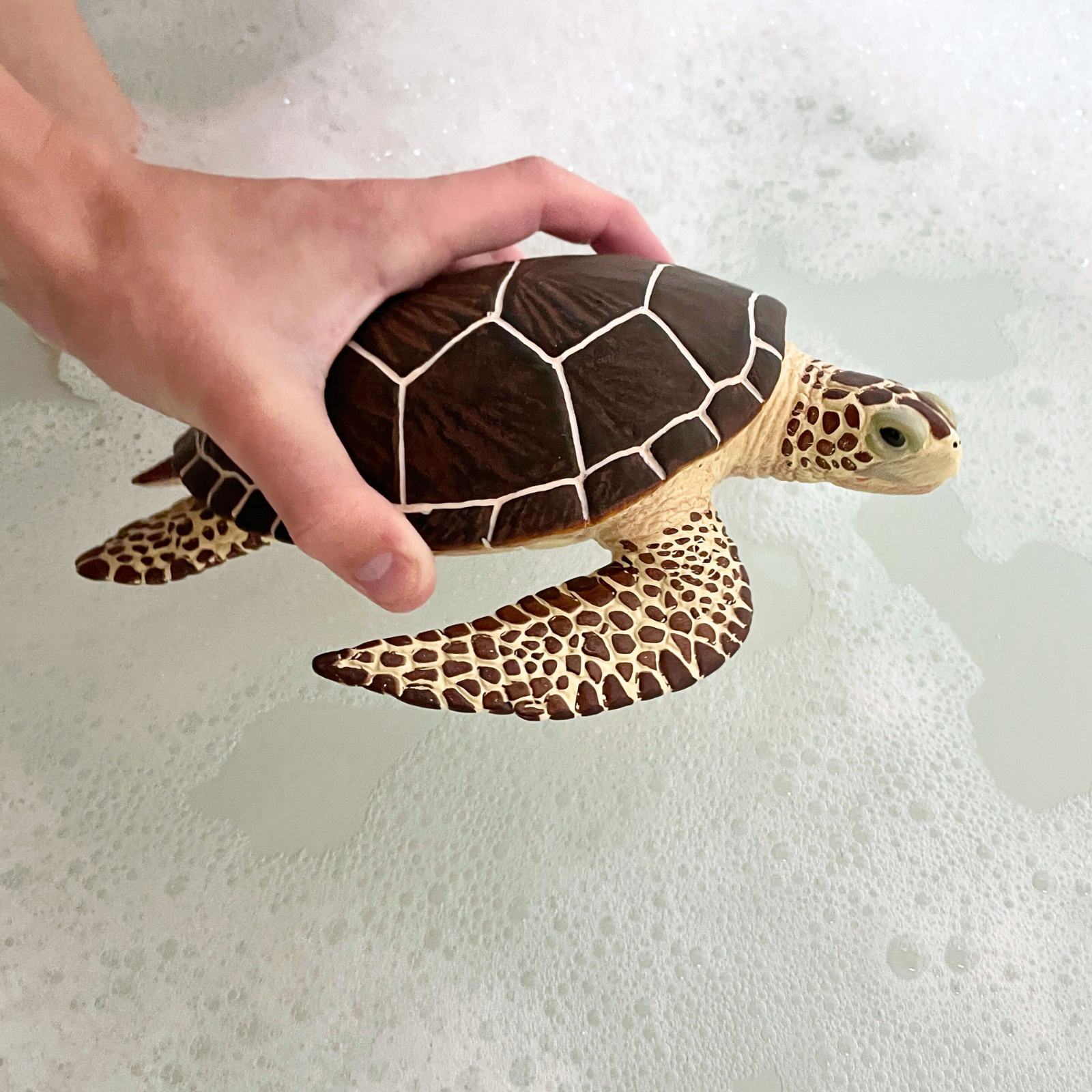 Sea Turtle Toy | Incredible Creatures | Safari Ltd®