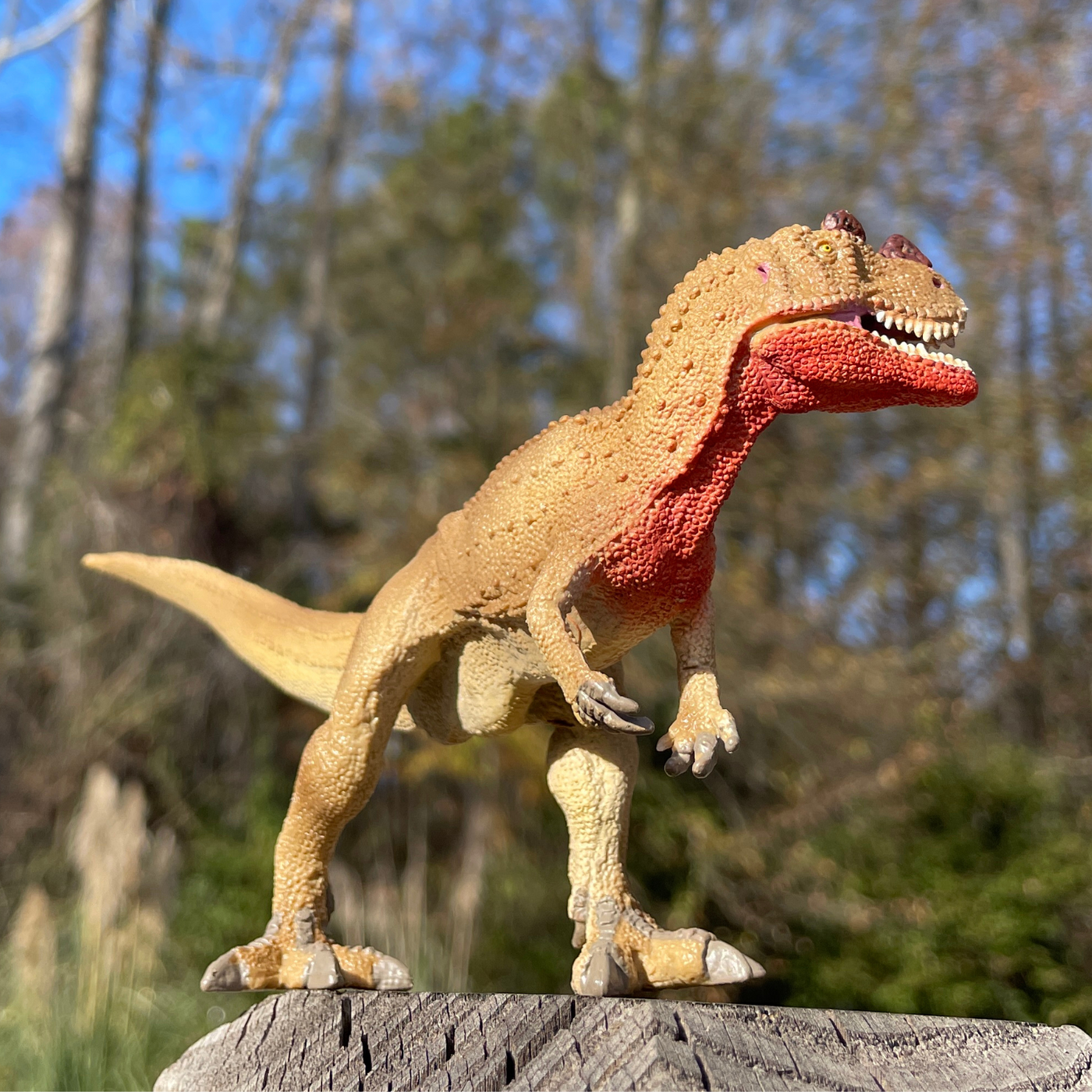 Ceratosaurus Toy