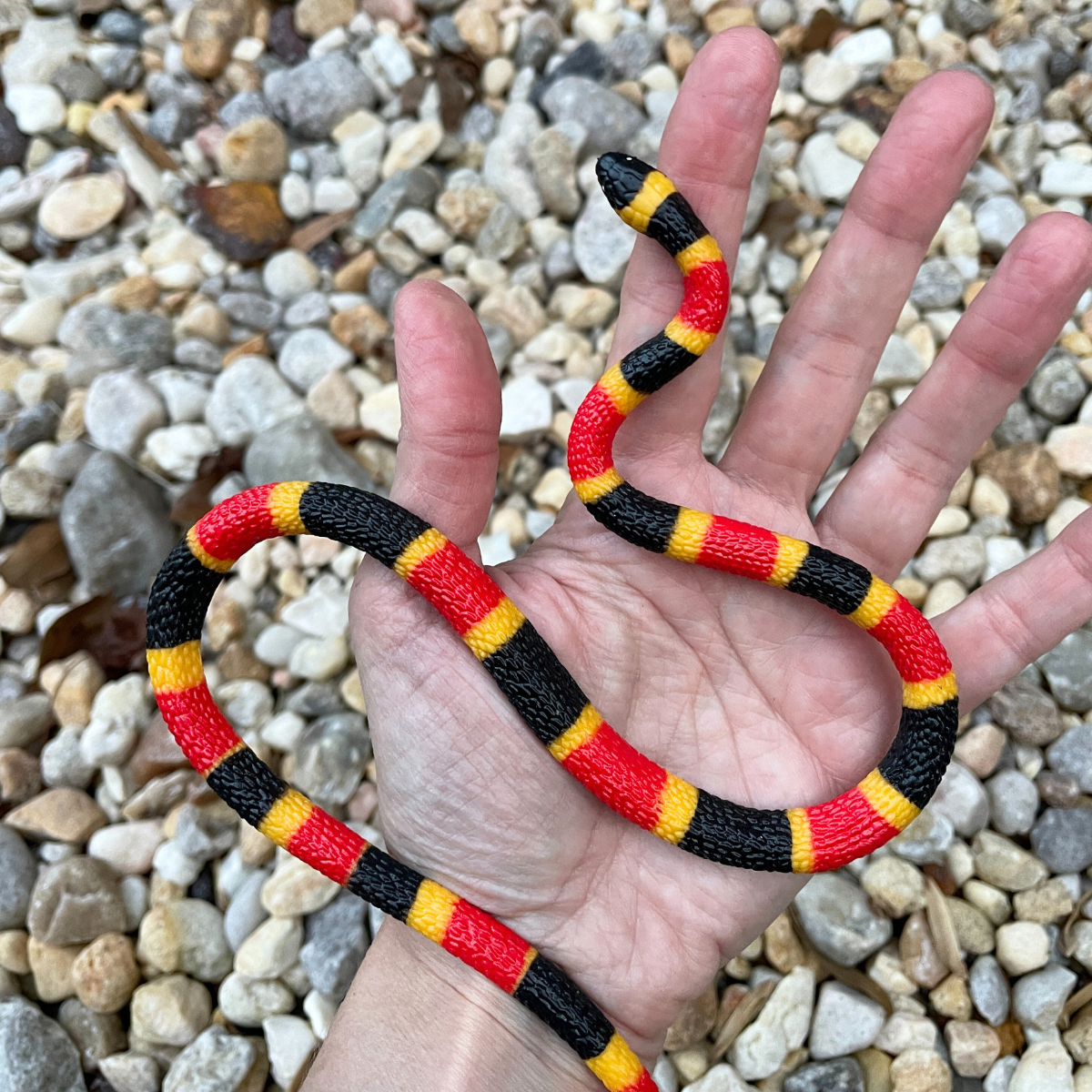 Coral Snake Baby Toy | Incredible Creatures | Safari Ltd®