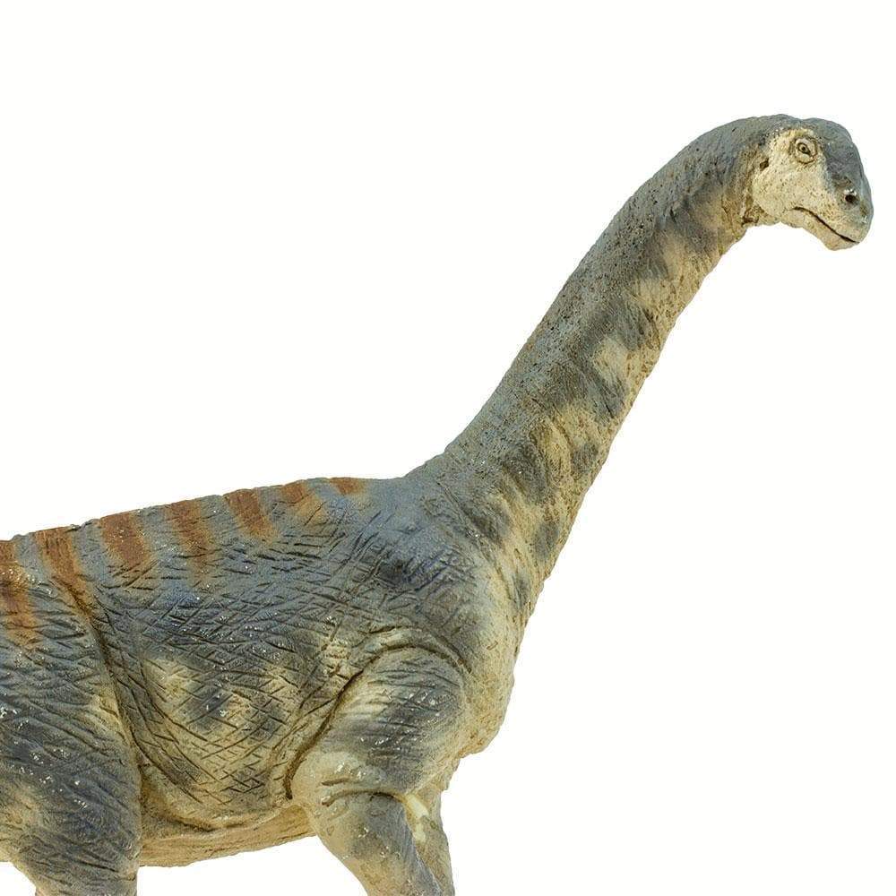 Camarasaurus Toy