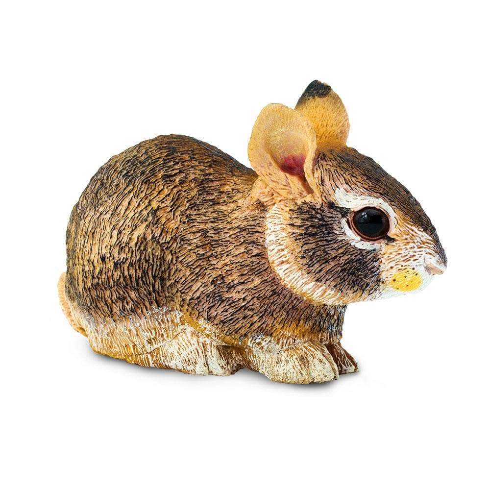 Eastern Cottontail Rabbit Baby Toy | Incredible Creatures | Safari Ltd®