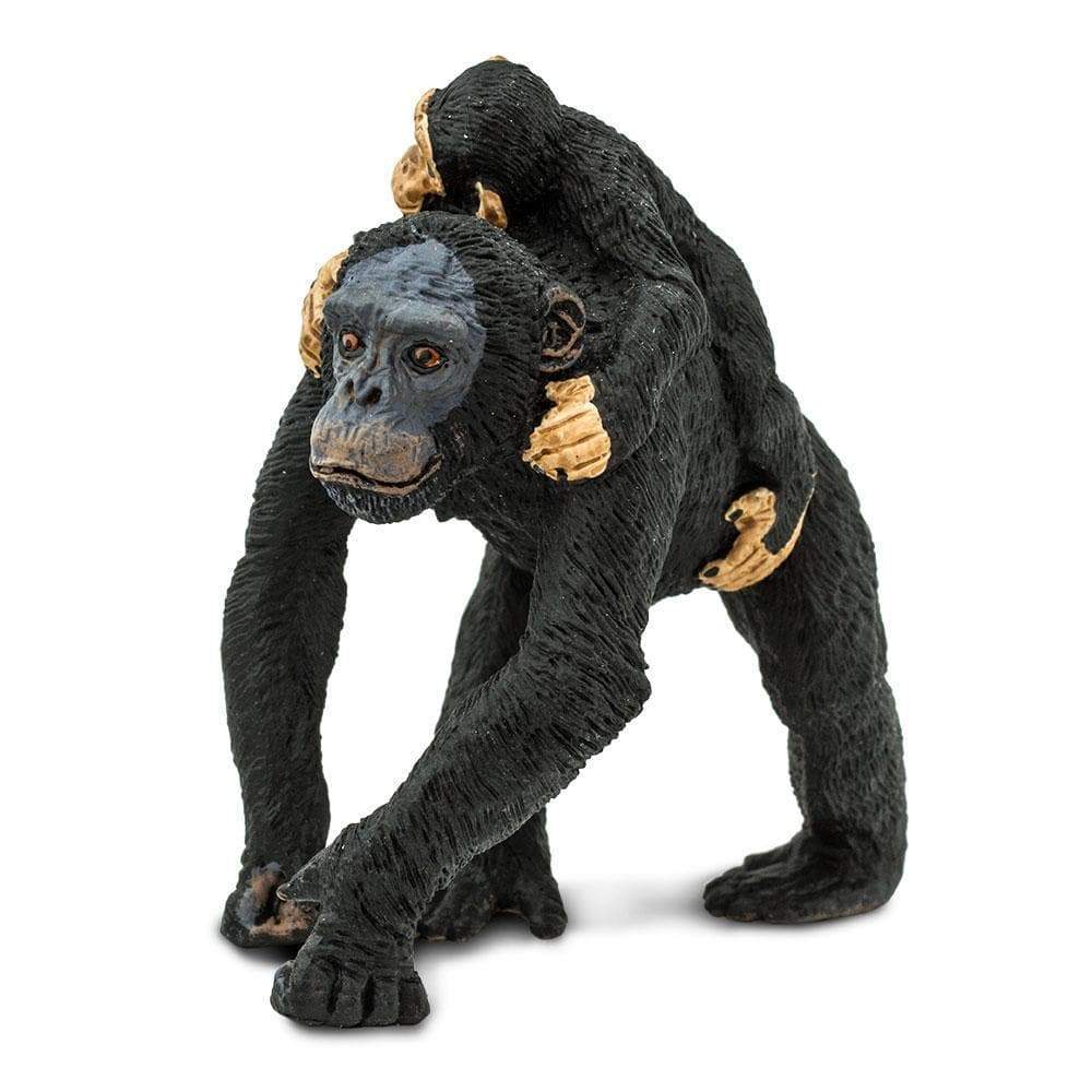 Chimpanzee with Baby Toy