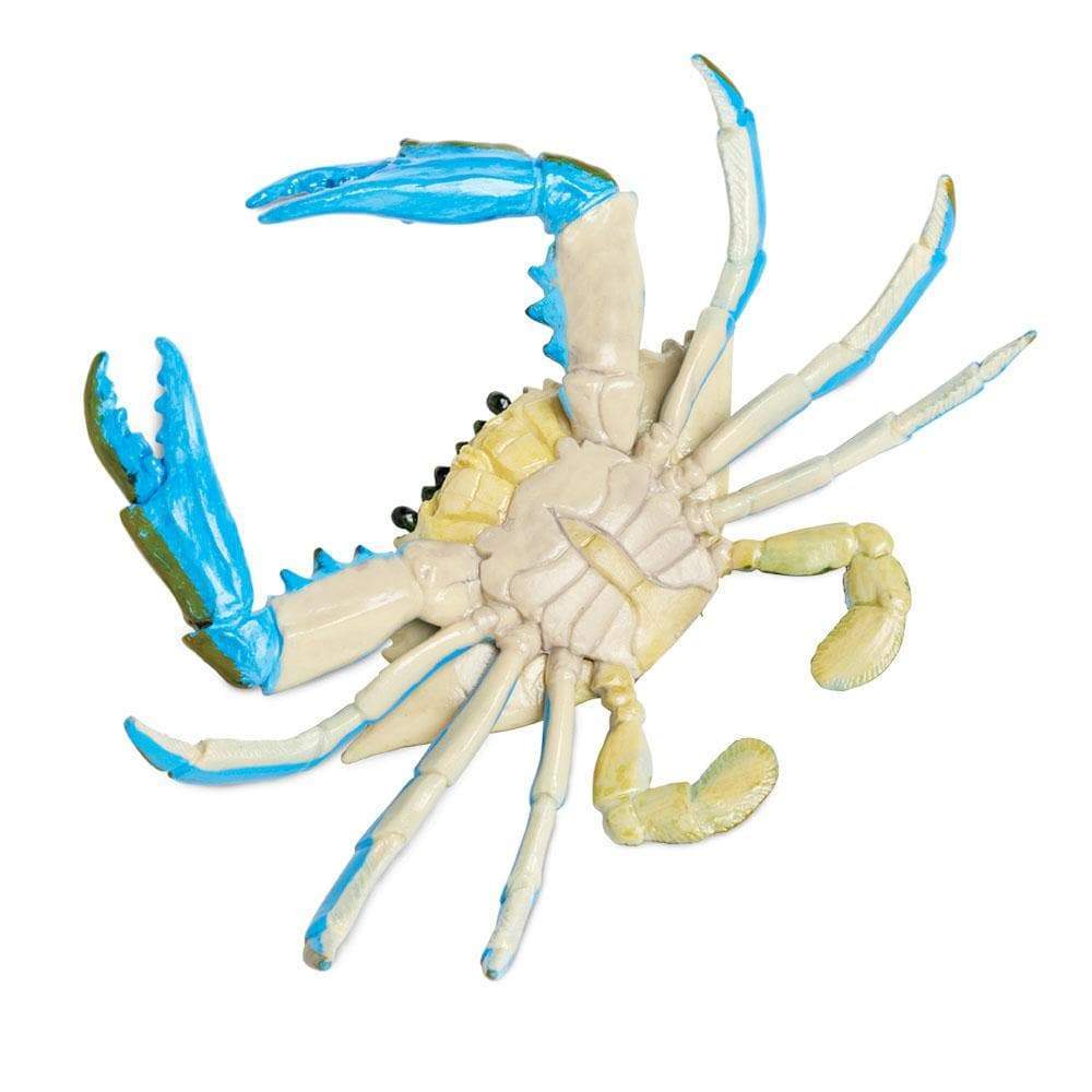 Blue Crab Toy | Incredible Creatures | Safari Ltd®